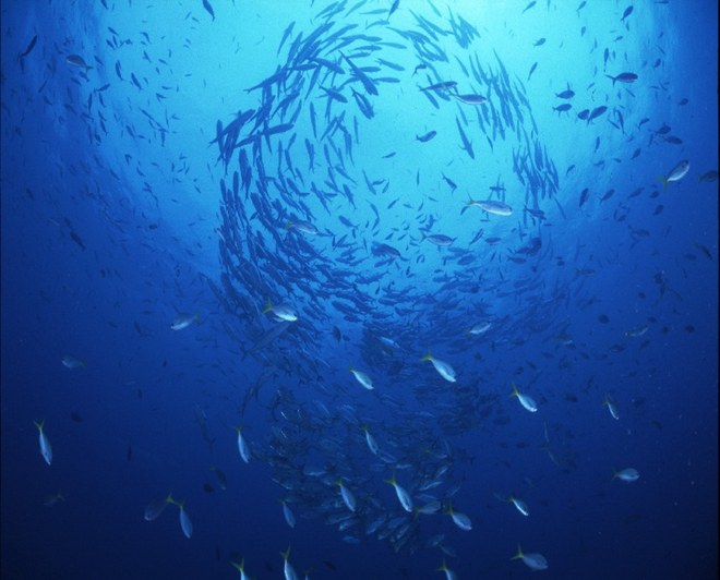 madang%20uw%20treverly%20tornade2