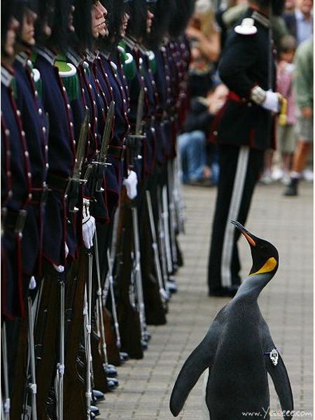 crazy_military_parades_21