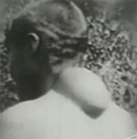 �ʲ�