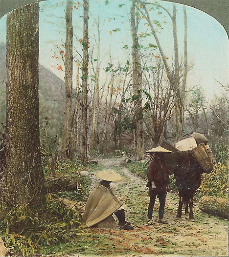 stereoview_5