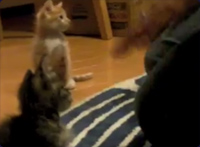 �����