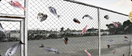 金網