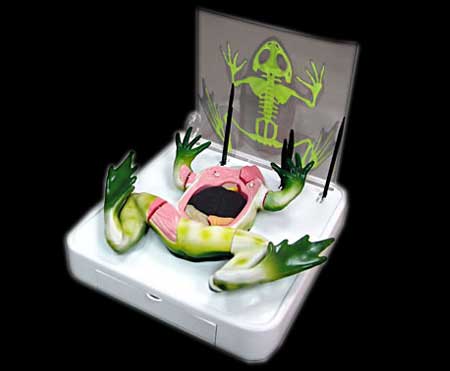 カエル魂