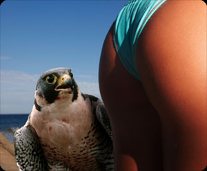 Ļ