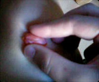 �٤ǲ�