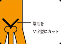 danseiki