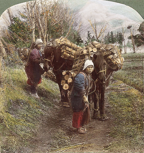 stereoview_14