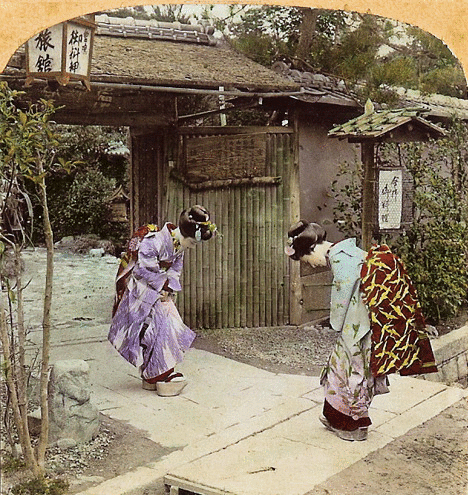 stereoview_2