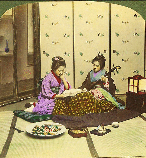 stereoview_6