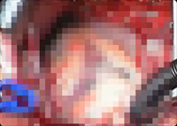 ���󤾤�
