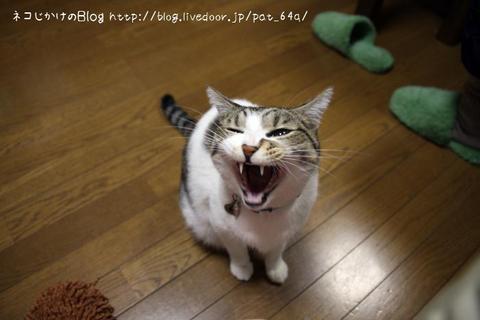 ɨ�˾�뤼��������