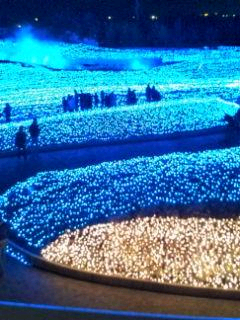 20091225