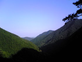 ����Ź 009