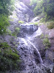 ����Ź 013