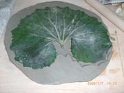 ����Ź 003
