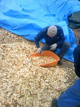 f145af47.jpg