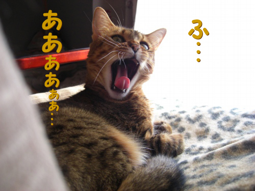 04