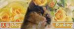 purin_ranking_hana