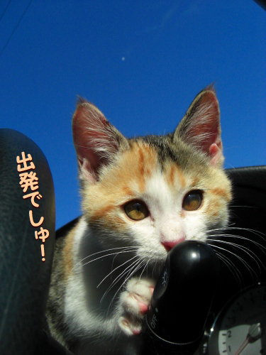 05