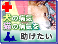 犬の病気猫の病気を助けたい