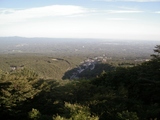 b960f4f7.JPG