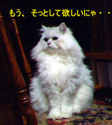 0d2ab442.jpg