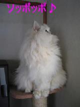a6298b69.jpg