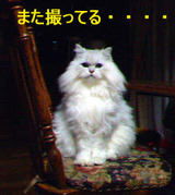 bb961f4f.jpg