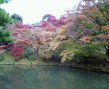 200911211536000