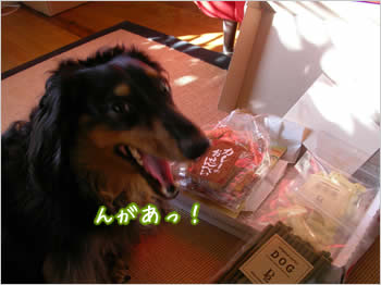 20080104_05