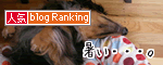 20080104_banner