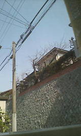 ec49f25f.jpg