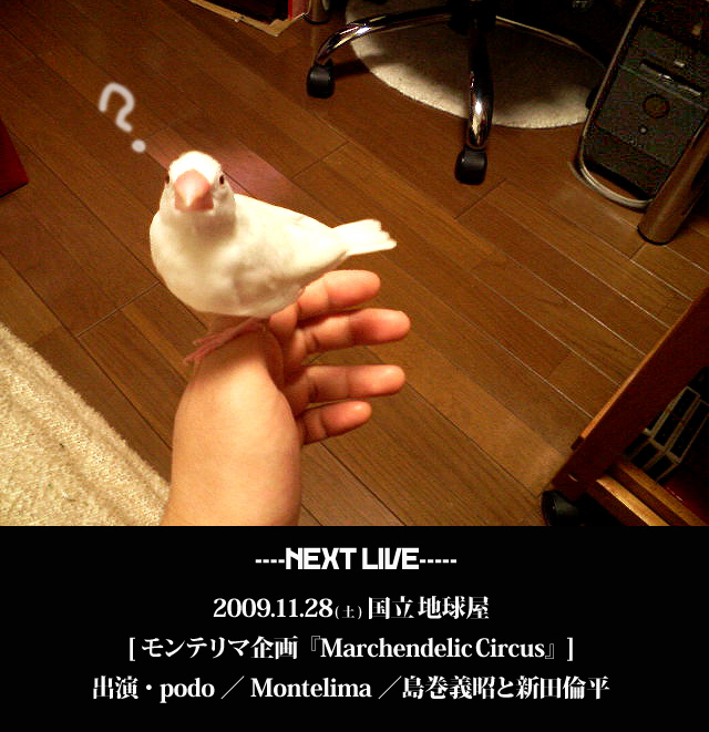 33b76151.jpg