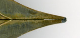 2009-07-01 03