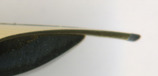 2009-07-01 10
