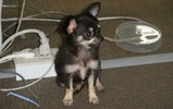 2009-08-06 02