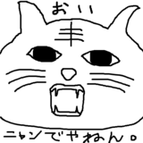 ǭ
