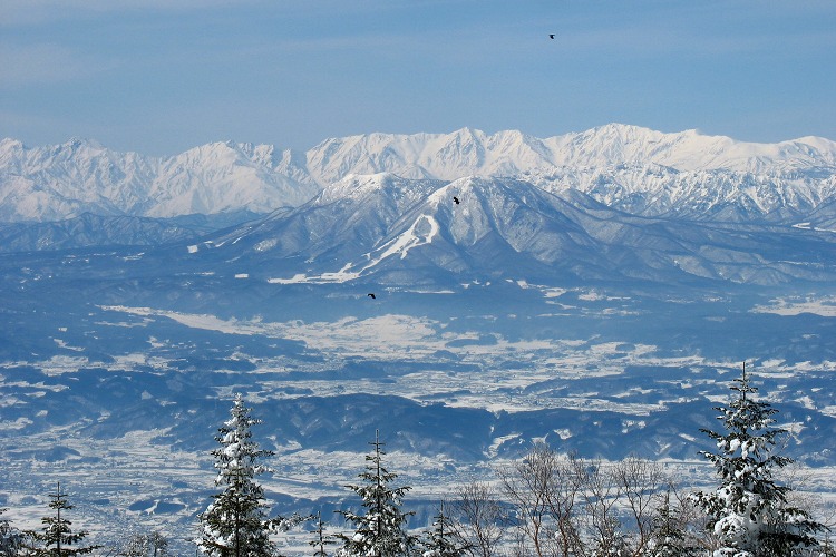 北アルプスの雪景色で涼を感じて♪ | 信州・山梨の四季便り - 楽天ブログ