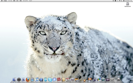 Snow Leopard �ǥ����ȥå�
