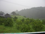 台風1