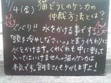 080704森下
