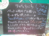 080703立石