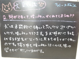 080701松江
