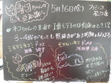 080516松江