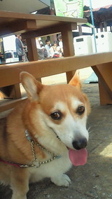 �ޥ꡼�ʥ�����