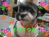 BlogPaint