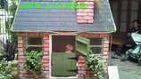BlogPaint