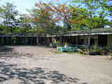school