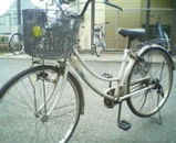 自転車