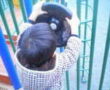 孫